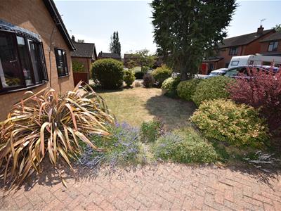 Picture 20